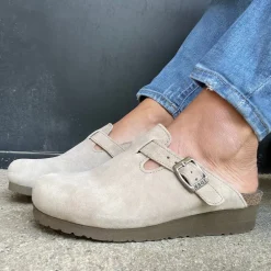 Autumn Clog Shoe (4466)