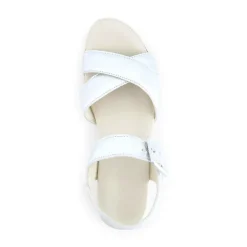 Elite Platform Sandal (123102)