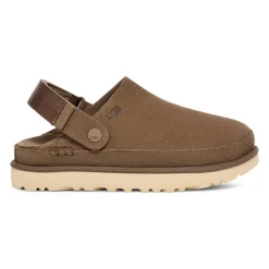 Goldenstar Clog