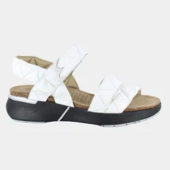Kayla Sport Sandal (111205)